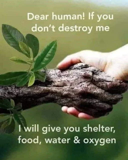 Cuidemos y respetemos la naturaleza